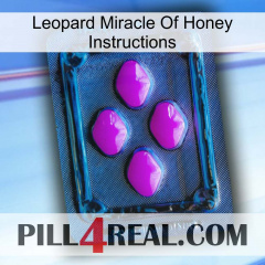 Leopard Miracle Of Honey Instructions 04